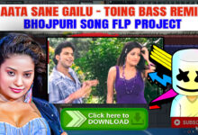Aata Sane Gailu (Toing Bass Remix) - Bhojpuri Song FLP Project Free