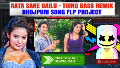 Aata Sane Gailu (Toing Bass Remix) - Bhojpuri Song FLP Project Free